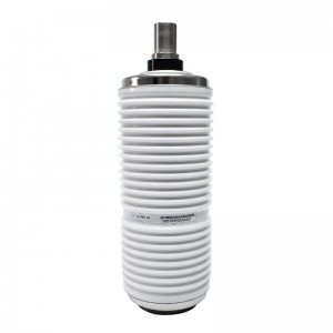 FZN21 FN16A Vacuum interrupter for indoor load break switch